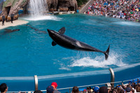 Seaworld